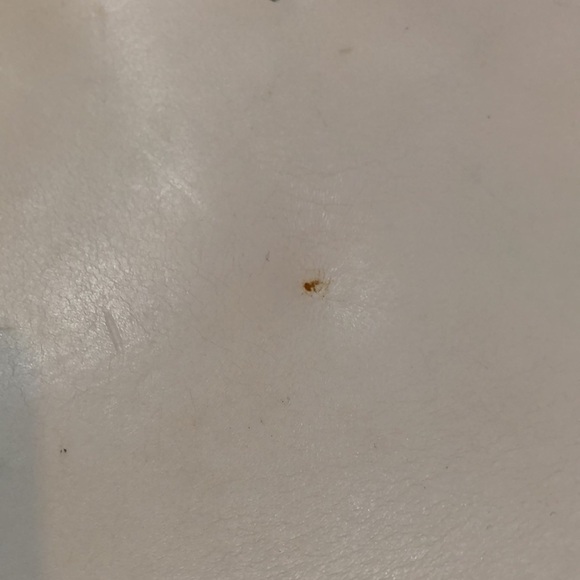 Coccinelle leather handbag small mini purse white with blue trim EUC - Picture 5 of 8